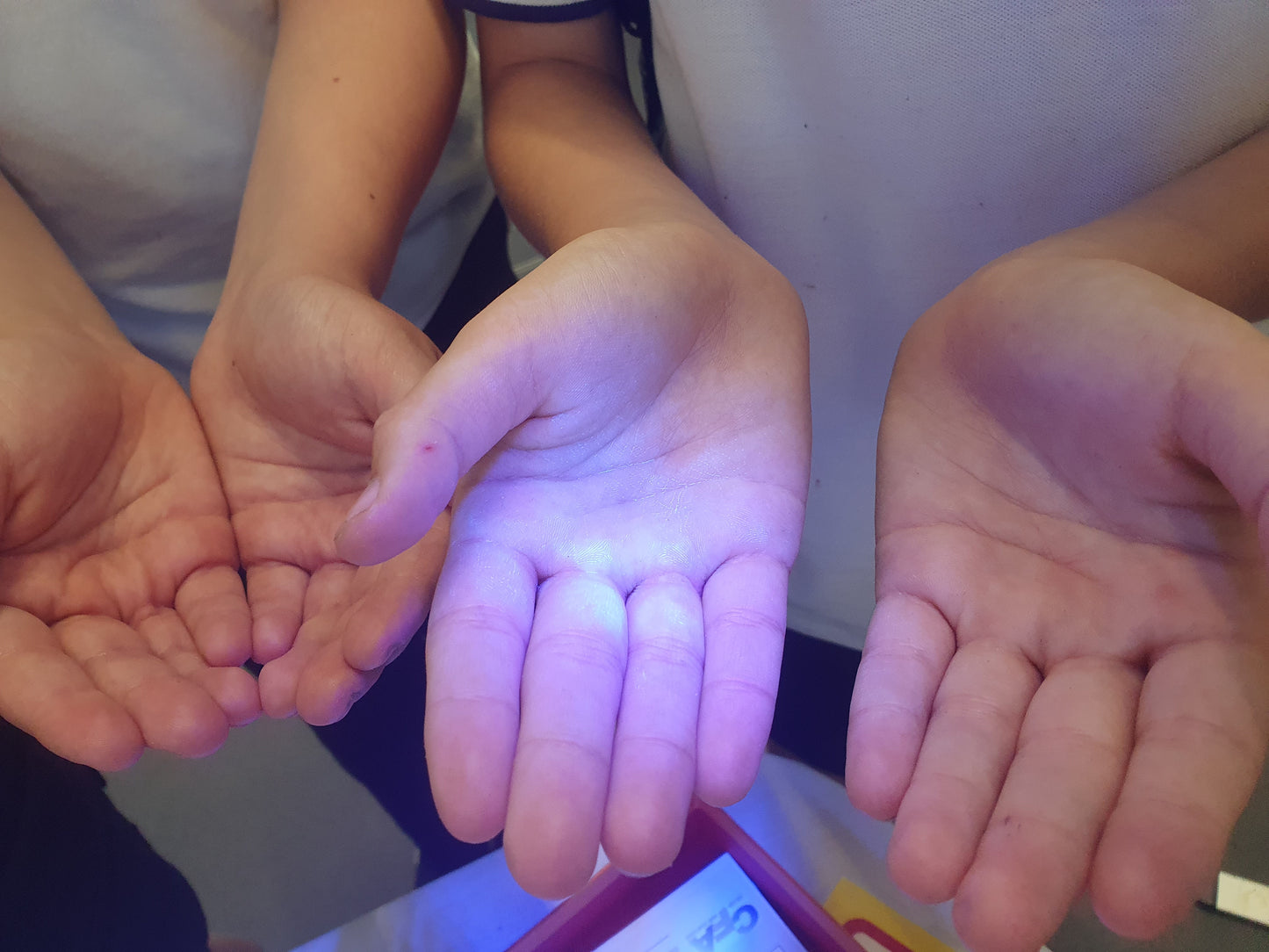 Fantastic Fluorescence - The Many Uses of a UV Torch