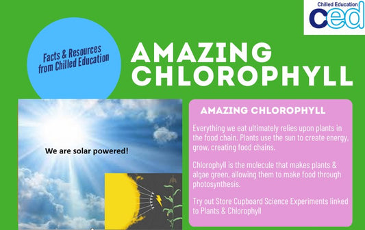 Amazing Chlorophyll - Facts & Resources