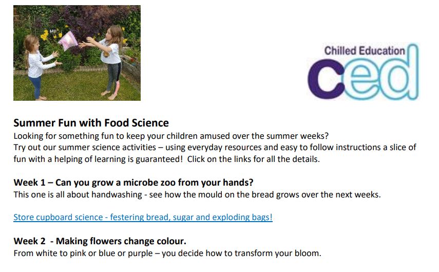 Summer Fun - Store Cupboard Science Free Digital Download