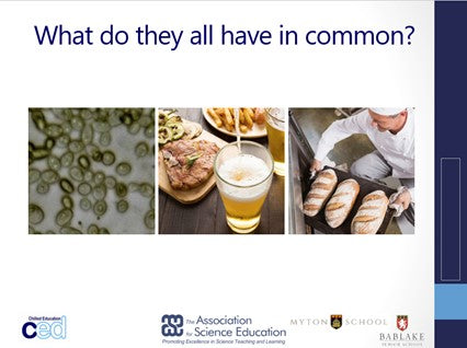 Free Lesson Plan- Microorganisms, Handwashing & MicroTrumps (Science)