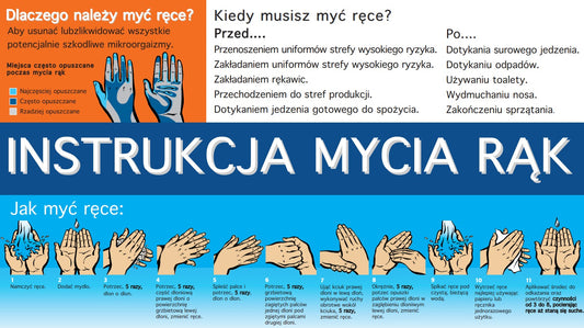 Handwashing Training Poster - Polish - Free Digital Download
