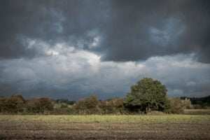 CFA Adverse Weather Protocol Guidance for RTE Fresh Produce