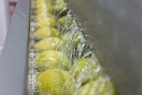 CFA Protocol for Produce Washing (2010)