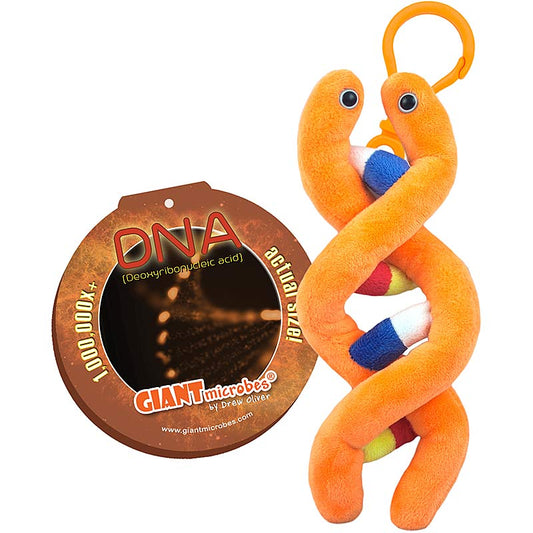 DNA Soft Key Chain