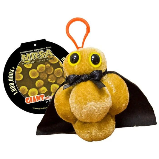 MRSA Key Chain