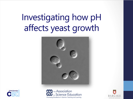 Free Lesson Plan- The effect of pH on yeast growth in fruit juice (Science)