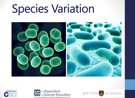 Free Lesson plan - Species Variation & Genetic Adaptation (Science)