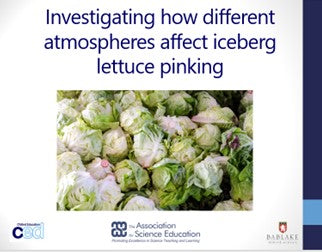 Free Lesson Plan - Investigating the pinking of lettuce (Science)