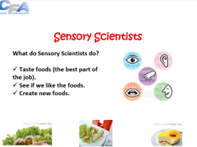 KS2 Sensory Scientists (Taste) Lesson Plan