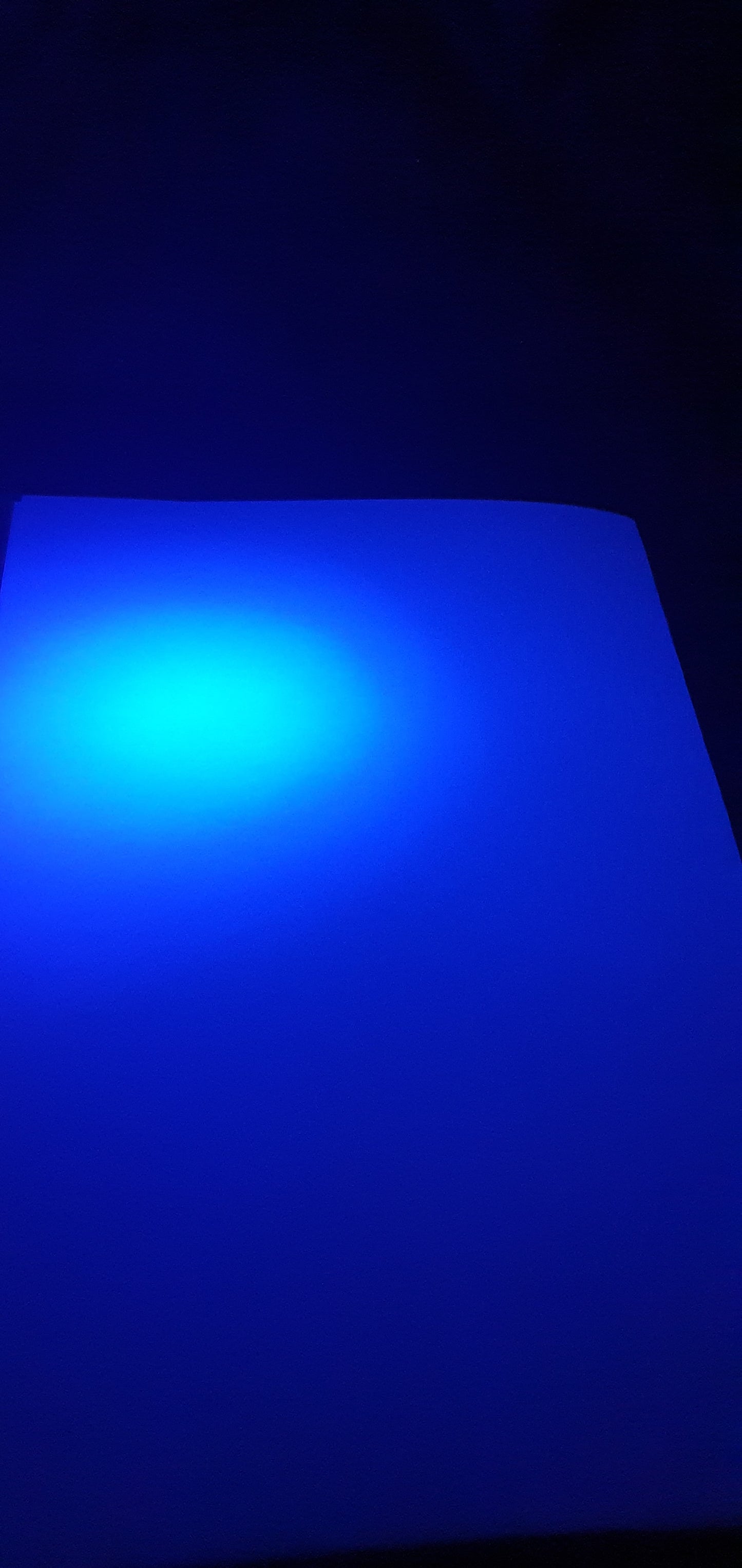 Fantastic Fluorescence  - The Many Uses of a UV Torch